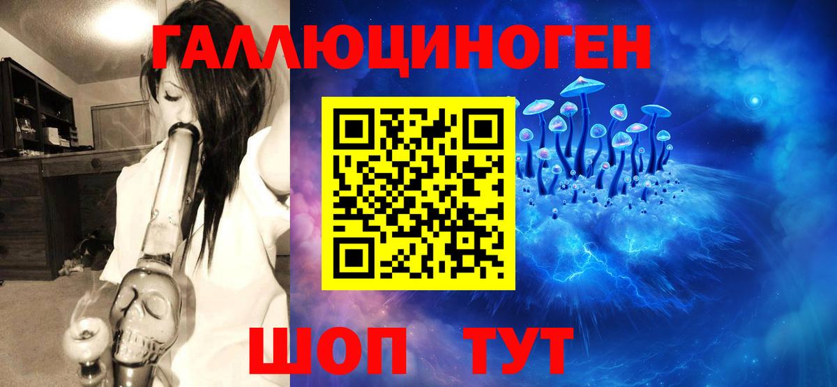 Галлюциногенные грибы Psilocybe Томск