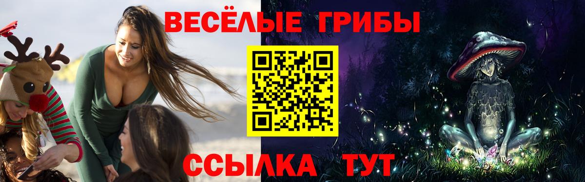 Томск  Галлюциногенные грибы ЛСД  Вход с VPN  Псилоцибиновые грибы Cubensis 